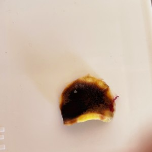 犬おやつ さつまいもチップス レシピ 作り方 By Leon Noel クックパッド 簡単おいしいみんなのレシピが372万品