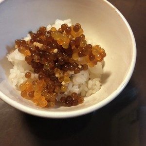 簡単 美味い ｶｼﾞｶの子の醤油漬け レシピ 作り方 By ﾋﾅﾏﾏ クックパッド 簡単おいしいみんなのレシピが367万品