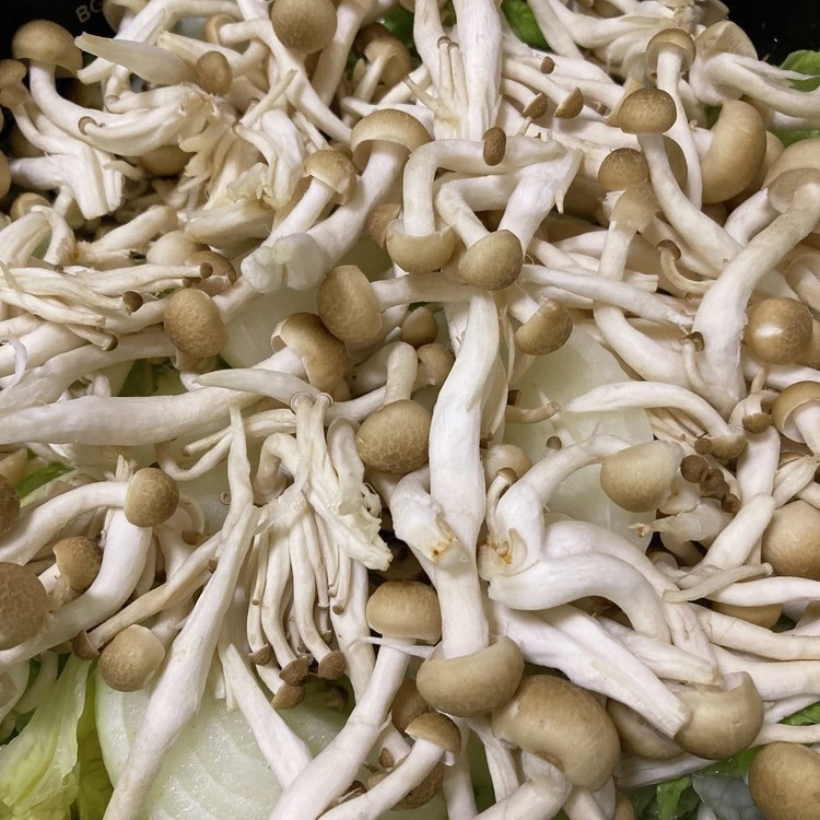 セメント シャイニー薊飯 レシピ 作り方 By たっちーパパ クックパッド 簡単おいしいみんなのレシピが365万品