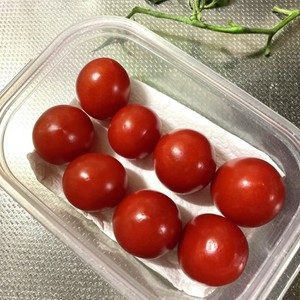 sezkul733kum