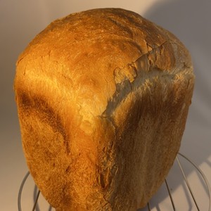 HBでフランスパン風食パン