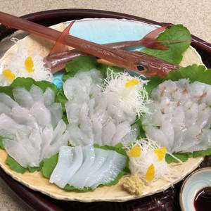 アカヤガラのお造り ヤガラの捌き方 レシピ 作り方 By 1cchie クックパッド 簡単おいしいみんなのレシピが364万品
