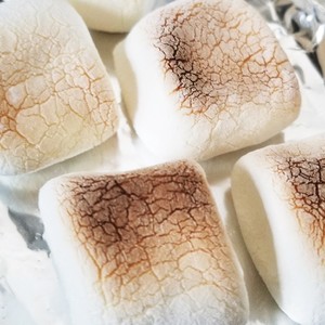 話題入り トースターで簡単焼きマシュマロ レシピ 作り方 By Fkyouko クックパッド 簡単おいしいみんなのレシピが366万品