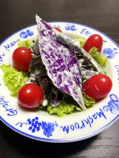 ハンダマのシーザーサラダ レシピ 作り方 By あばさあ クックパッド 簡単おいしいみんなのレシピが376万品