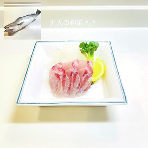 オオニベの刺身 レシピ 作り方 By 明石浦漁業協同組合 クックパッド 簡単おいしいみんなのレシピが364万品