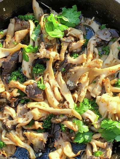 ヒラタケのソテー レシピ