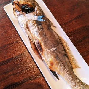 シログチ イシモチ の塩焼き レシピ 作り方 By 明石浦漁業協同組合 クックパッド 簡単おいしいみんなのレシピが371万品