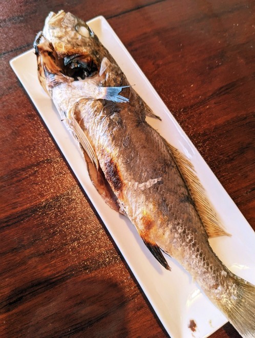 シログチ イシモチ の塩焼き レシピ 作り方 By 明石浦漁業協同組合 クックパッド 簡単おいしいみんなのレシピが374万品