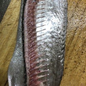 食べやすい タチウオの骨抜き のつくれぽ クックパッド 簡単おいしいみんなのレシピが366万品