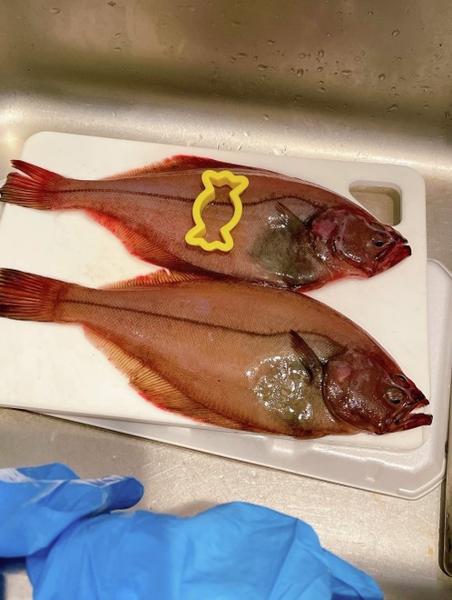 こんなに簡単だったの カレイの下処理 レシピ 作り方 By Ultramaman クックパッド 簡単おいしいみんなのレシピが376万品