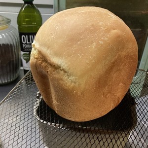 犬用 Hbで作る食パン レシピ 作り方 By Paffet クックパッド 簡単おいしいみんなのレシピが366万品