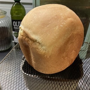 犬用 Hbで作る食パン レシピ 作り方 By Paffet クックパッド 簡単おいしいみんなのレシピが366万品