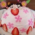デコレーションケーキ☆チョコで桜