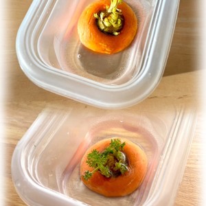ケーキ飾りの葉っぱ ちょい栽培 レシピ 作り方 By Mi ちゃん クックパッド 簡単おいしいみんなのレシピが371万品