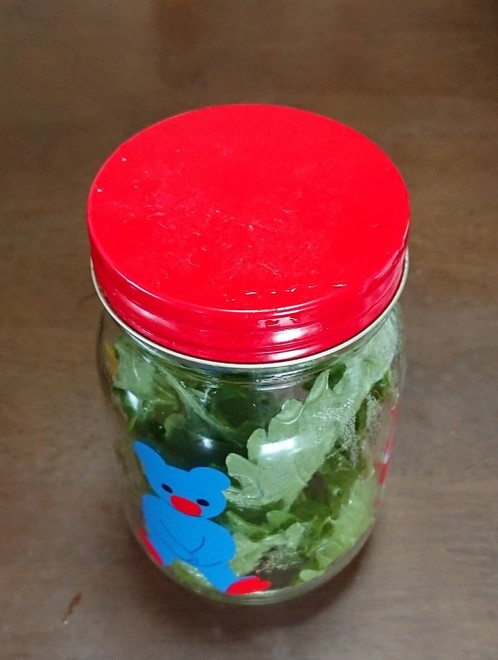 フレッシュハーブと大葉の保存方法 レシピ 作り方 By はらぺこしろうさぎ クックパッド 簡単おいしいみんなのレシピが373万品