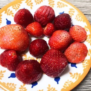 いちご 苺 の洗い方 レシピ 作り方 By 前田量子 クックパッド 簡単おいしいみんなのレシピが371万品