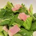 生で食べる酵素！小松菜サラダ