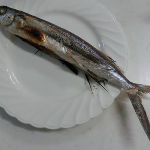 簡単 トビウオの塩焼き レシピ 作り方 By マリンブルーマリン クックパッド 簡単おいしいみんなのレシピが370万品