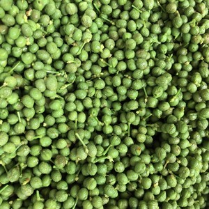 正しい山椒の実の下ごしらえと保存方法 レシピ 作り方 By めかまはぉ クックパッド 簡単おいしいみんなのレシピが373万品