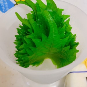 フレッシュハーブと大葉の保存方法 レシピ 作り方 By はらぺこしろうさぎ クックパッド 簡単おいしいみんなのレシピが371万品