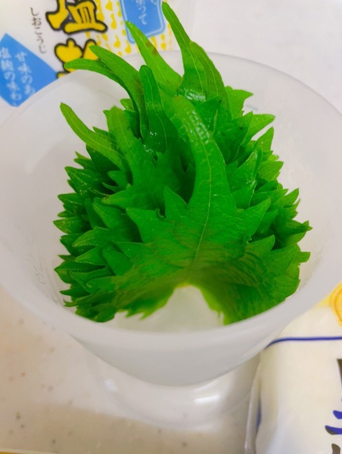 フレッシュハーブと大葉の保存方法 レシピ 作り方 By はらぺこしろうさぎ クックパッド 簡単おいしいみんなのレシピが373万品