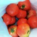 保存酢トマト 
