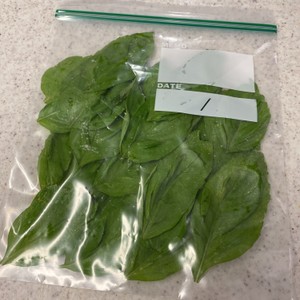 バジルは冷凍保存できます V レシピ 作り方 By ばじまま クックパッド 簡単おいしいみんなのレシピが371万品