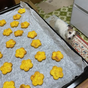 人も食べられる 犬用かぼちゃクッキー レシピ 作り方 By Kao1215 クックパッド 簡単おいしいみんなのレシピが372万品