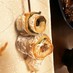 太刀魚の串焼き　梅肉と大葉を巻いて