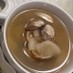 台湾料理 大根とあさりの生姜スープ煮