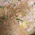 長芋と大根と豆苗のトロトロ豆乳坦々鍋