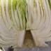 白菜の長持ち保存法