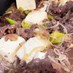 コストコ プルコギビーフで簡単肉豆腐