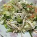 ベトナムのチキンサラダ ●野菜どっさり