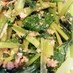 簡単！小松菜とツナのナムル風サラダ