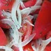 トマトと玉ねぎのサッパリサラダ