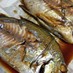釣り料理3☆白身魚セイゴ海タナゴの煮付け