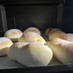 基本のふかふか手作りパン