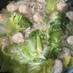 白菜と肉団子のポカポカ生姜スープ