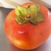 スパイス香る柿のアップダウンケーキ