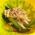 レンチンで簡単❢小松菜のお浸し(^^)