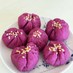 紫芋のお弁当デザート