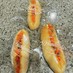明太フランスパン(ミニバケット4本分)