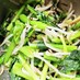 レンジで簡単☆小松菜の塩昆布ナムル。