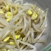 韓国の家庭の味１！豆もやしのナムル