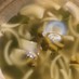 簡単☆わかめと玉ねぎの中華風スープ