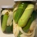 消費、保存、常備に✿夏野菜の簡単ピクルス
