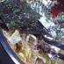 コチュジャンで白菜のピリ辛サラダ
