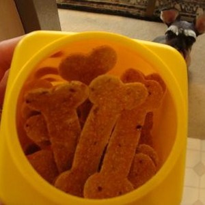 犬用 卵の殻パウダー レシピ 作り方 By Vitaminy クックパッド 簡単おいしいみんなのレシピが360万品