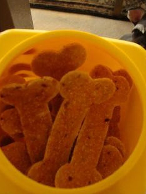 犬用 卵の殻パウダー レシピ 作り方 By Vitaminy クックパッド 簡単おいしいみんなのレシピが376万品